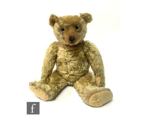 A mid 20th Century teddy bear, golden mohair, black boot button eyes, vertically stitched nose, fully jointed, well loved. 