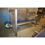 2019 Alimec Aprox. 149" L x 19.5" W x 34" H S/S Belt Conveyor, SN 813-52, with Bauer S/S Drive Motor