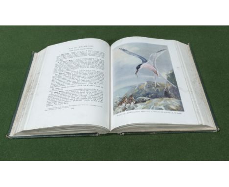 An edition of British Birds by F B Kirkman and F C R Jourdain, many coloured plates.