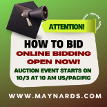 HOW TO BID