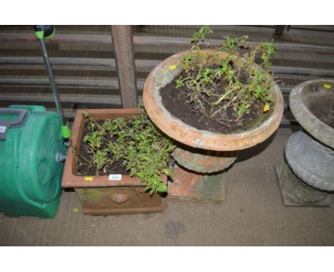 A terracotta planter and contents together with an urn shaped planter and contents 