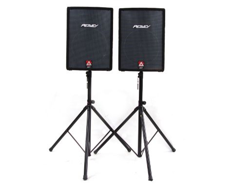 Pair of Peavey XT Series Hisys 2XT PA speakers with a pair of Stagg speaker stands