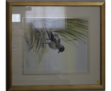 K. Richardson Study of a pintail drake by the water's edge Watercolour 52.5cm x 44cm