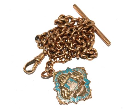 A 9 carat gold Albert and enamel pendant