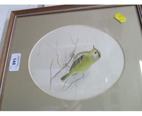 R. David Digby Study of a Goldcrest Watercolour, signed 18cm x 14.5cm