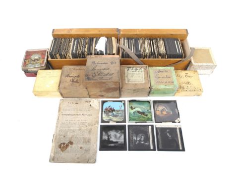 A collection of magic lantern slides. Within boxes tittled 'Through Holland with the old masters', 'Rhineland', 'Animals', 'T