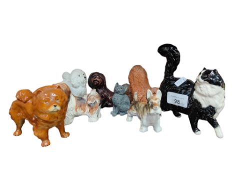 DOGS &amp; CATS SHELF LOT