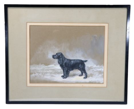 Reuben Ward Binks (1880 - 1950) "Artist's Model of Solway", study of a black Cocker Spaniel on moorland, guache, titled, sign