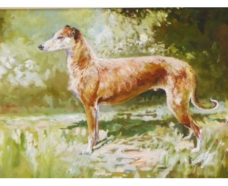 MICHAEL LYNE.  (1912-1989)  ARR.   PORTRAIT OF A LURCHER, SPRING, SIGNED AND DATED 1950, GOUACHE.   34 x 52cms.