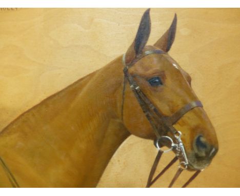 FRANCES M HOLLAMS.  (1877-1963)   ARR PORTRAIT OF A HORSE, YELLOW MOLLY, SIGNED AND DATED 1934 , OIL ON BOARD IN MAPLE FRAME.