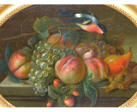 OLD MASTER SCHOOL.   A PAIR OF OVAL STILL LIFES OF FRUIT WITH EXOTIC BIRDS, OIL ON PANEL IN CONFORMING GILT FRAMES.   28 x 35