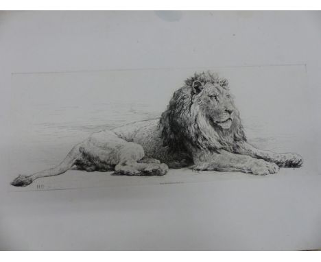HERBERT DICKSEE.  (1862-1942)   THREE VINTAGE UNFRAMED PRINTS OF LIONS.   TWO 76 x 61cms AND THE OTHER   41 x 60.5cms.  (3)