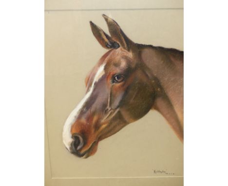 ENGLISH 20th.C.SCHOOL.   PORTRAIT OF A HORSE, KELDSYKE, INITIALLED P.B. POSSIBLY PETER BIEGEL, PASTEL.   56 x 44cms.