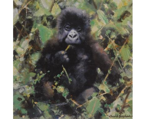 David Shepherd (1931-2017). Baby Gorilla, artist signed limited edition print 135/1500, 19cm x 15cm.