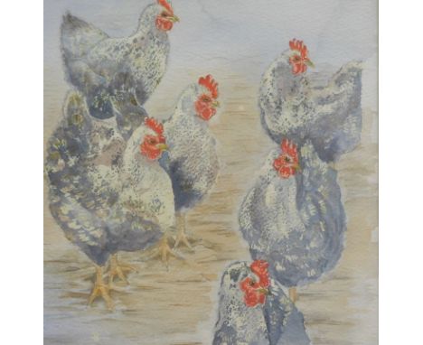 Christine Edison (20thC). Chicken study, watercolour, 20cm x 20cm, Peter Scott (1909-1989) Widgeon, artist signed limited edi