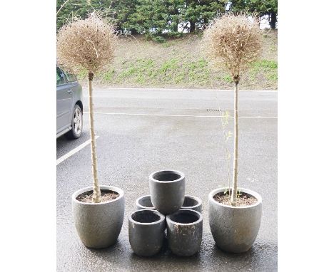 Five small grey painted resin garden planters and two large grey painted ceramic garden planter&nbsp; ( 7)