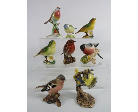 Selection of Bird Figurines by Goebel, Beswick, Aynsley and Royal Adderley..