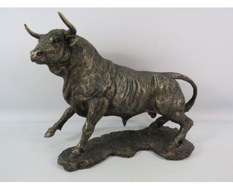 Large Bronze effect sculpture of a Spanish fighting bull, 12" tall &amp; 17" long