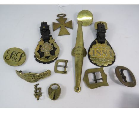 Small selection of vintage brass saddlery items and horse brasses etc.