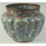 A JAPANESE BLUE GROUND CLOISONNE POT, with lobed body and decorated with birds, butterflies, and
