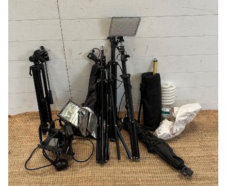 A selection of photographic lighting equipment to include lights, stands and bulbs 