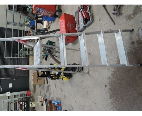 A set of alloy step ladders