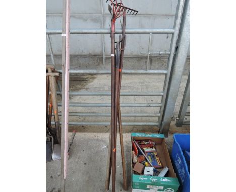 A selection of garden tools