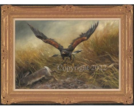 Mick Cawston Falconry Oil on Panel. Signed and dated 01. Newly Framed and varnished.. Image area 20” x 30” Guide Price £2,500