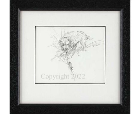 Mick Cawston Pencil Sketch. Monogramed M.C. Newly framed and mounted.  Image area 6” x 7” Guide Price £200 - £250 Condition E