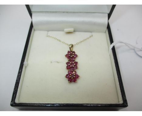Ruby Pendant on a 9ct Gold Chain