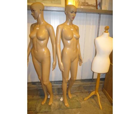 Shop Mannequin