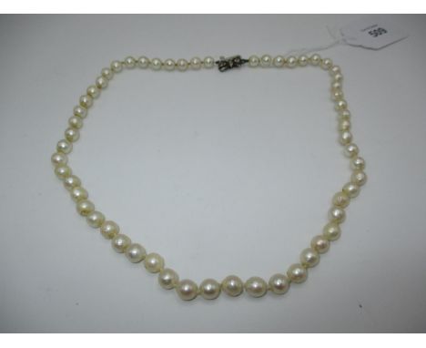 Ciro Cultured Pearl Necklace with Silver Clasp