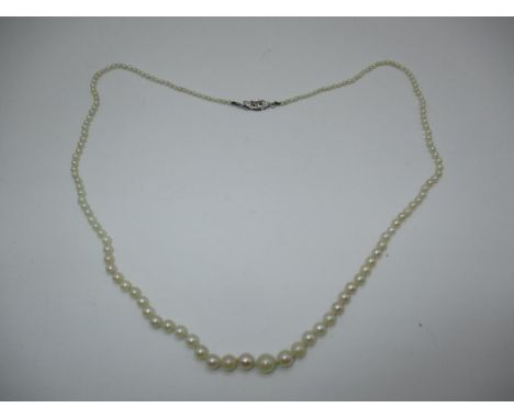 Pearl Necklace with 9ct White Gold and Diamond Clasp