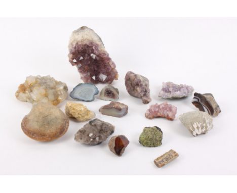 A fossil brachiopod, a part belemnite and a collection of amethyst and other mineral samples, various