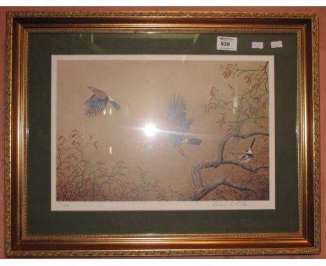 After Robert E. Fuller, Harris Hawk Chasing Jay, limited edition coloured print, no.: 50 of 850, signed in pencil.  Framed an