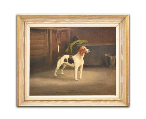 British School, 20th century, Winning Beagle, ''Plaintive' First Prize Unentered Bitches, Peterborough 1924', signed lower ri