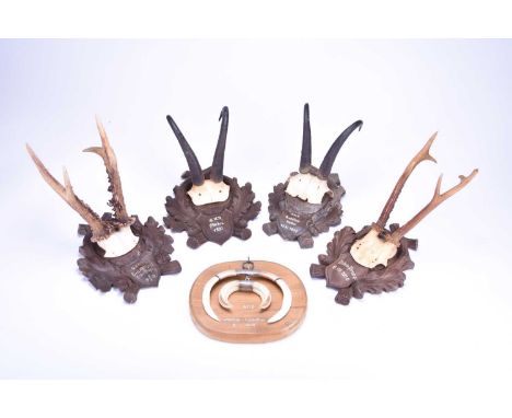 A collection of mounted Chamois and Roe Deer antler trophies1924 to circa 1955, comprising eleven roe deer antlers, five moun