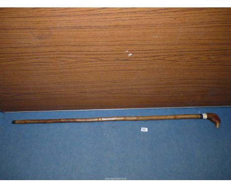 A tall hazel shafted Walking stick with carved cock pheasant knop and horn beak, makers mark "MB" or "BM".