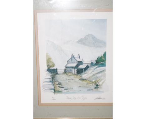 Limited edition signed print 