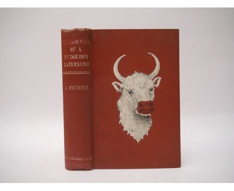 J. Whitaker: 'Scribblings of a Hedgerow Naturalist', Nottingham, Walter Black &amp; Co, 1904, 1st edition, scarce subscriptio