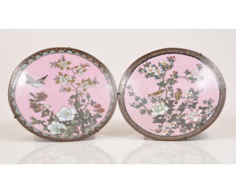 A pair of Japanese cloisonne pink ground circular plaques, slightly concave form, decorated with birds on flowing branches, d