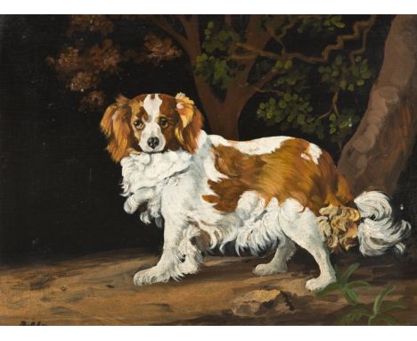 Anglo-Dutch School
Study of a Spaniel,
indistinctly signed,
oil on metal panel,
17cm x 24cm,
three others by the same hand, (