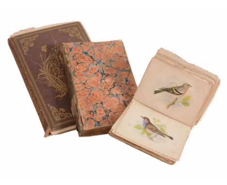 Three various volumes of Natural History ; H  Three various volumes of Natural History  ;  H. Noel Humphreys,   British Butte