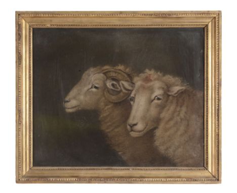 Benjamin Zobel (1762-1831) - Double portrait of a ram and a sheep Sand and pigment on paper 43 x 53 cm. (17 x 20 5/8 in) 
