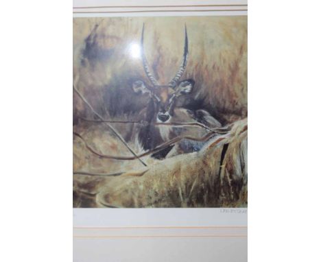 * LESLEY TRIP,
ANTELOPE and BUFFALO
each coloured lithograph, each signed, dated '99 and numbered 26/100 and 45/100 respectiv