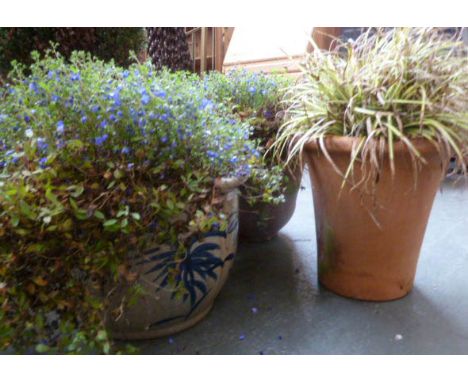 Three ceramic stoneware and terracotta planters