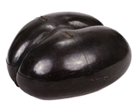 * Coco de Mer (Lodoicea maldivica). A fine example of this Coco de Mer seed, converted as a box with brass hinges and with a 
