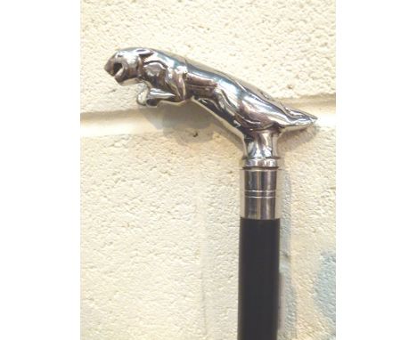 JAGUAR WALKING STICK. Jaguar handle walking stick