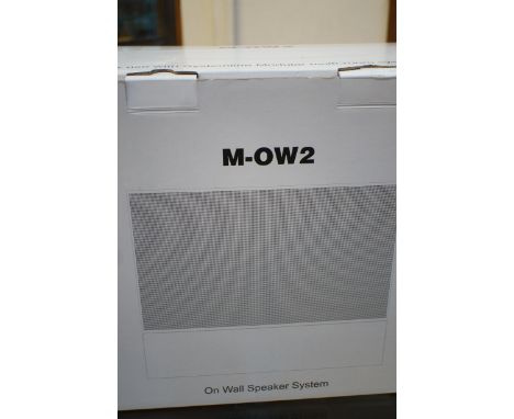 Intelligent active wall speaker 
