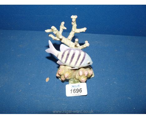 A Royal Worcester fish by Van Ruyckevelt